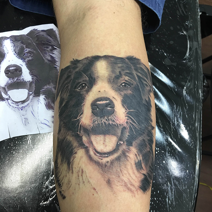 Fotografia Tatuagem Cachorro - Border Collie - Pet Retrato