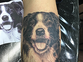 Fotografia de Border Collie vira Tatuagem