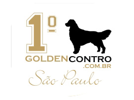 PET RETRATO E GOLDENCONTRO, UMA PARCERIA DOURADA!