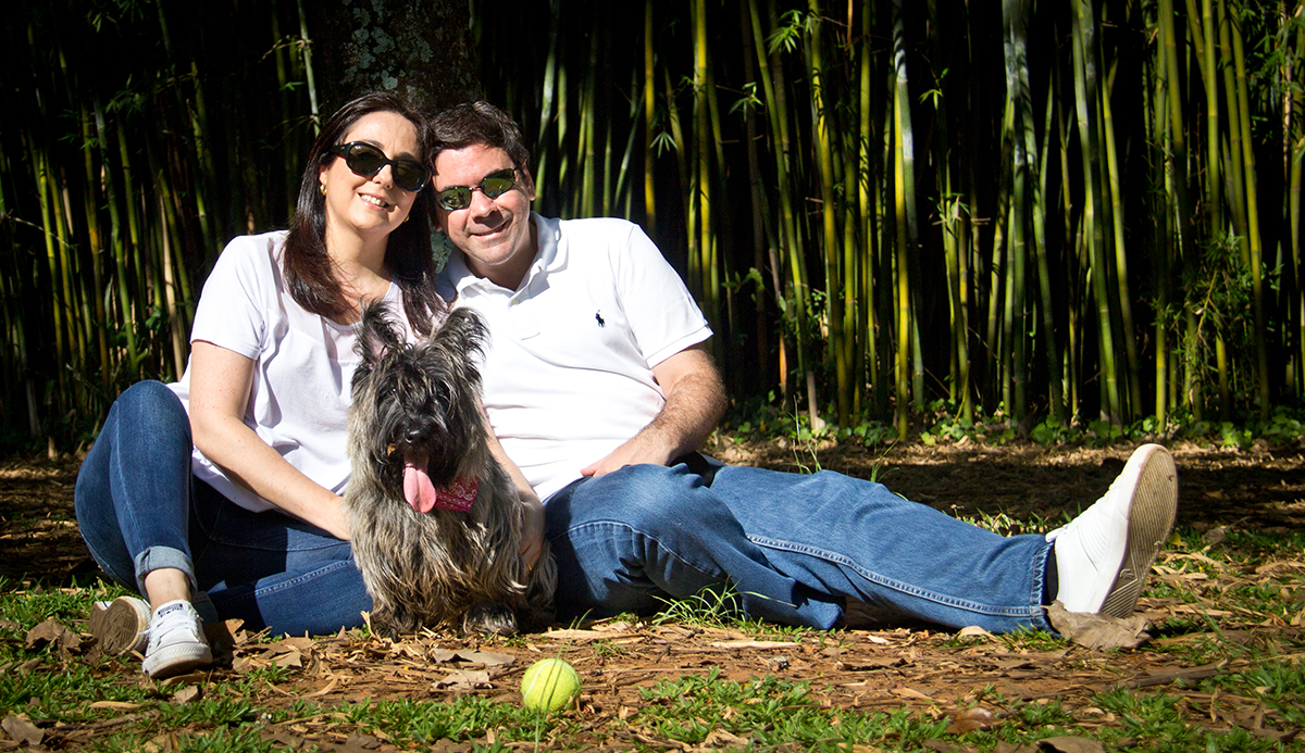 Foto de Scottish Terrier Filhote