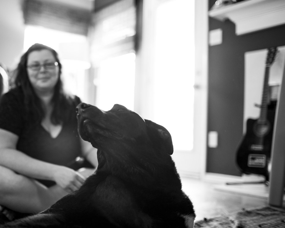 Ensaio fotográfico cachorro