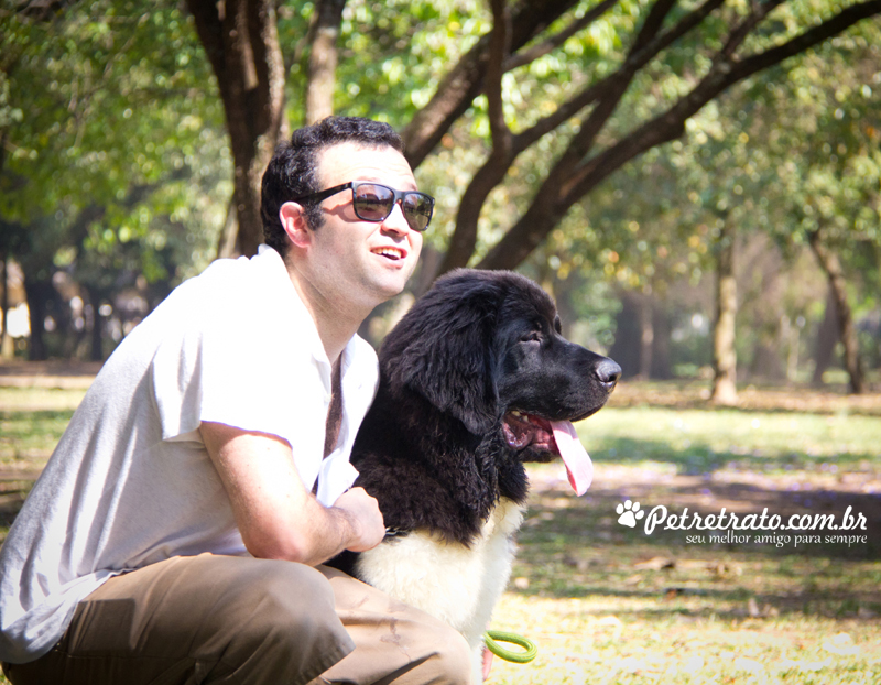 Golden Retriever e Terra Nova