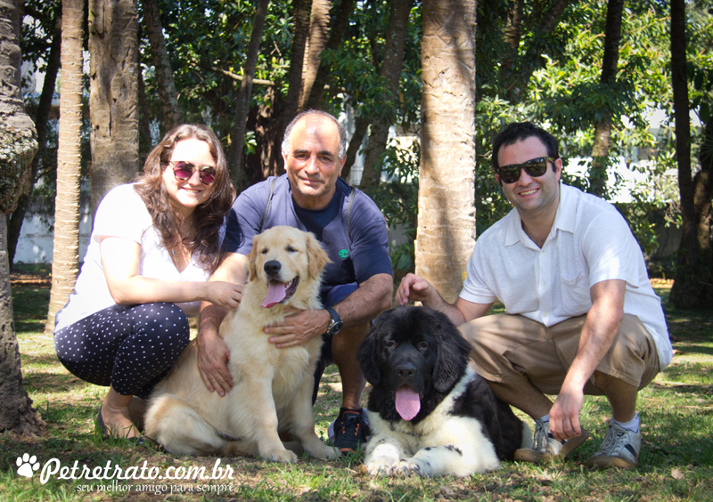 Golden Retriever e Terra Nova