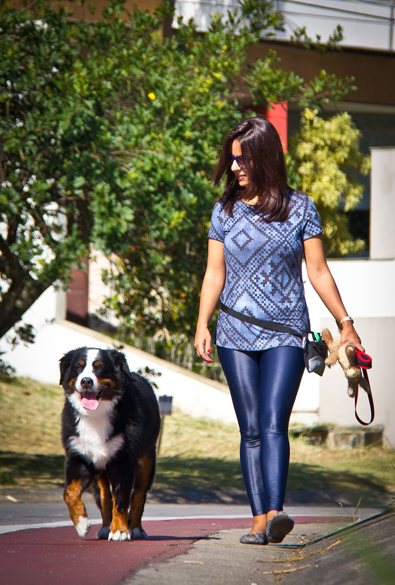 Fotografia Bernese - Pet Retrato