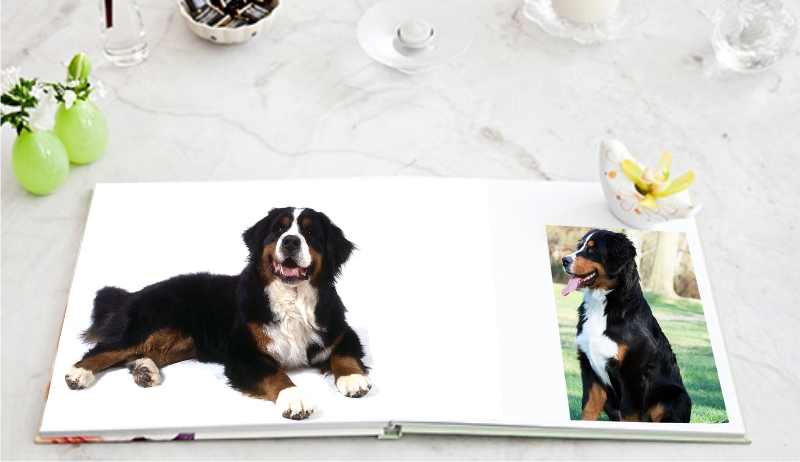 Pet book