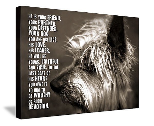 Pet canvas