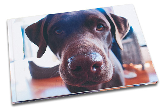 Pet �lbum
