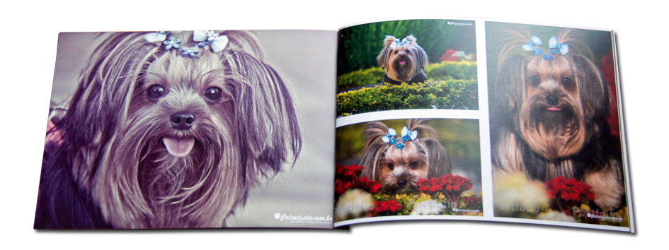 Pet �lbum